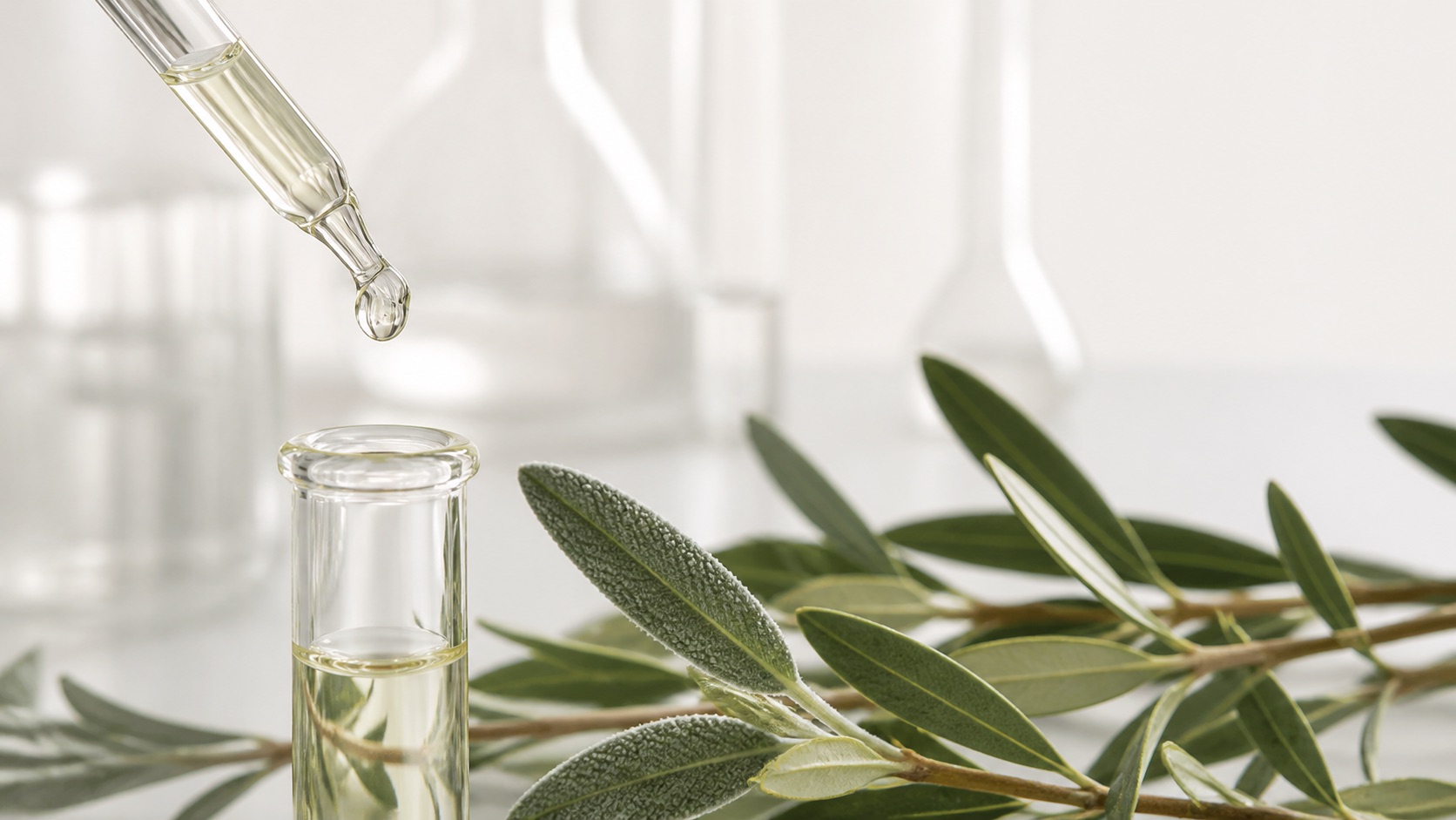 Laborpipette, Fläschchen und Olivenzweige in einer wissenschaftlich-botanischen Komposition.